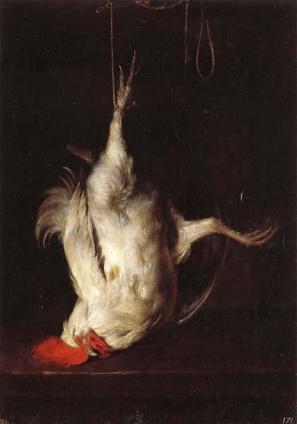 Gabriel Metsu Dead Cock oil painting picture